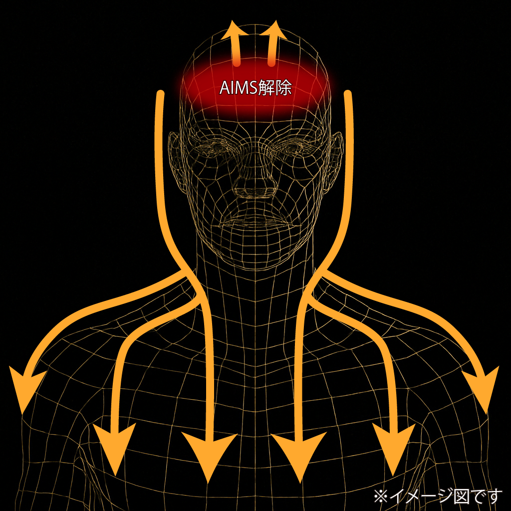 AIMS解除イメージ
